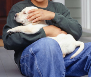 Boy-and-dog-200269604-001-lc100212