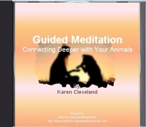 Guided Meditation