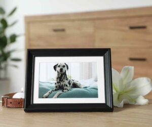 Picture of dog in fram on shelf with candle, collar and flower