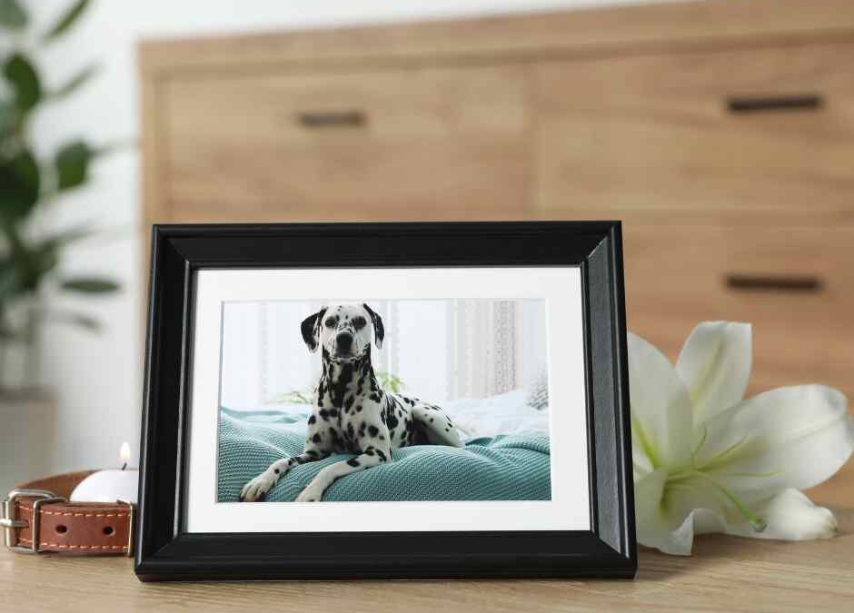 Why Our Pet’s Passing Hurts So Much